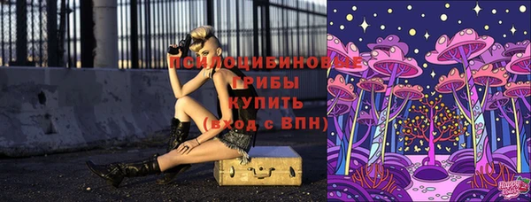 дурь Беломорск
