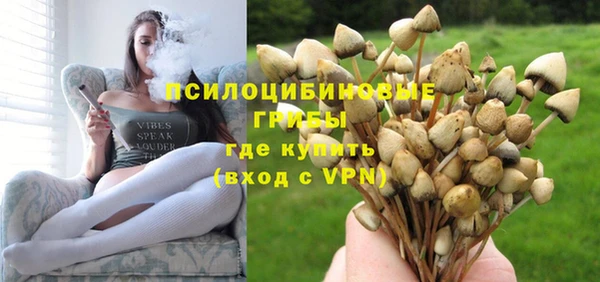 герыч Няндома