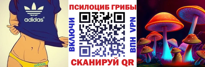 Галлюциногенные грибы прущие грибы  что такое наркотик  Бугульма 